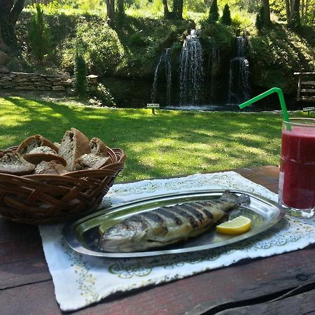 Gradacka Banja Brvnare Appartement Gradac  Buitenkant foto