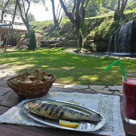 Gradacka Banja Brvnare Appartement Gradac  Buitenkant foto