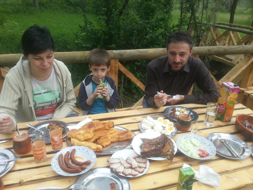 Gradacka Banja Brvnare Appartement Gradac  Buitenkant foto