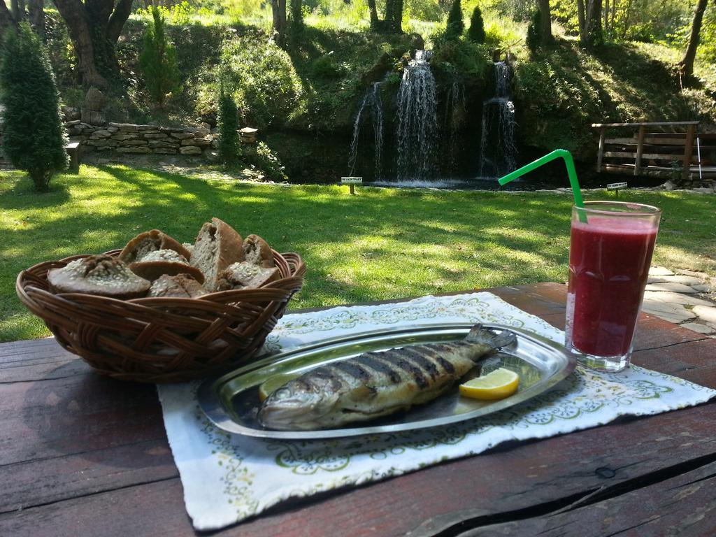 Gradacka Banja Brvnare Appartement Gradac  Buitenkant foto